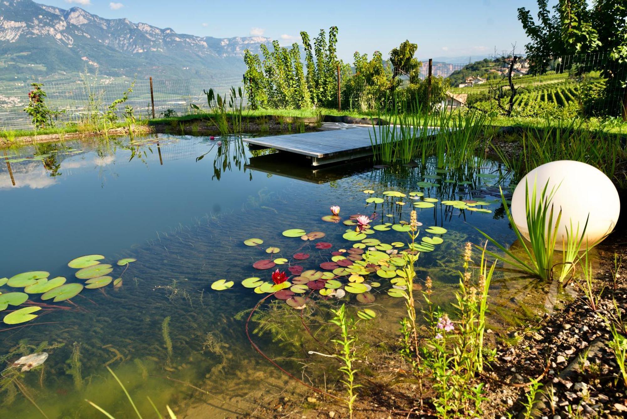 Burgunderhof Βίλα Montagna Εξωτερικό φωτογραφία